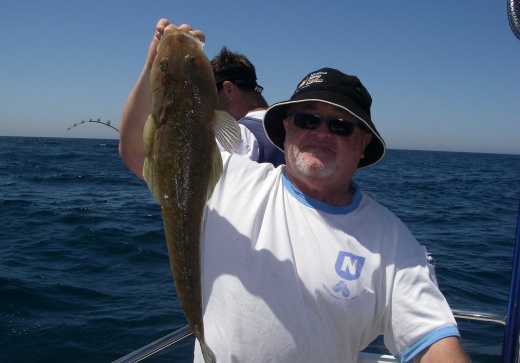 reef & game fishing charters terrigal central coast