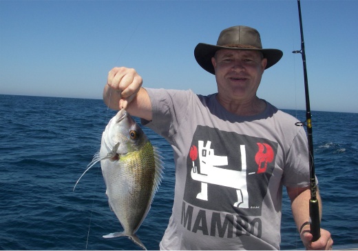 reef & game fishing charters terrigal central coast