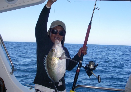 reef & game fishing charters terrigal central coast