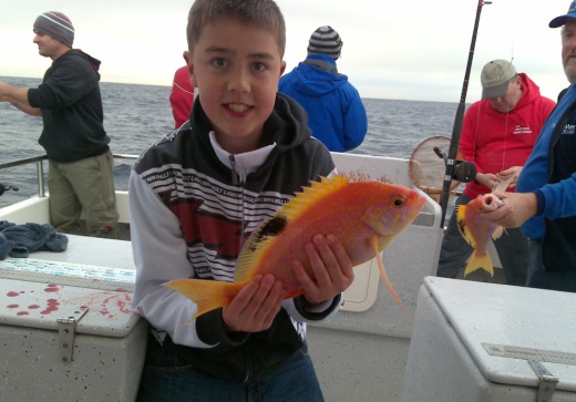 reef & game fishing charters terrigal central coast