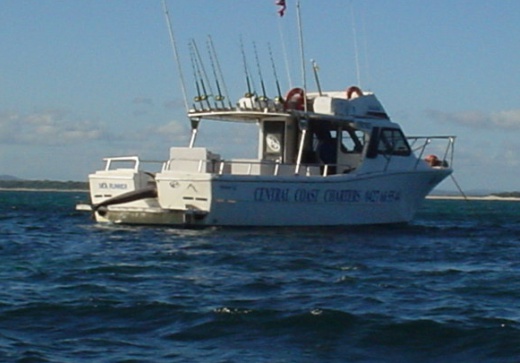 reef & game fishing charters terrigal central coast