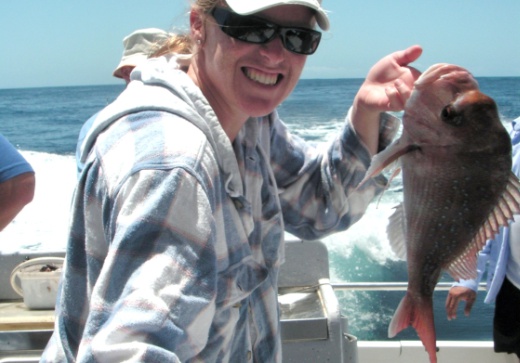 reef & game fishing charters terrigal central coast