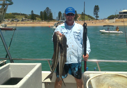 reef & game fishing charters terrigal central coast