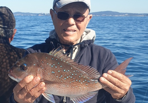 reef & game fishing charters terrigal central coast