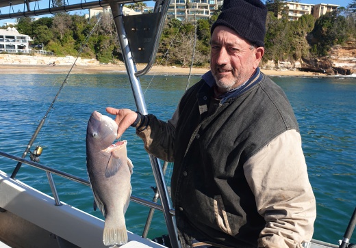 reef & game fishing charters terrigal central coast