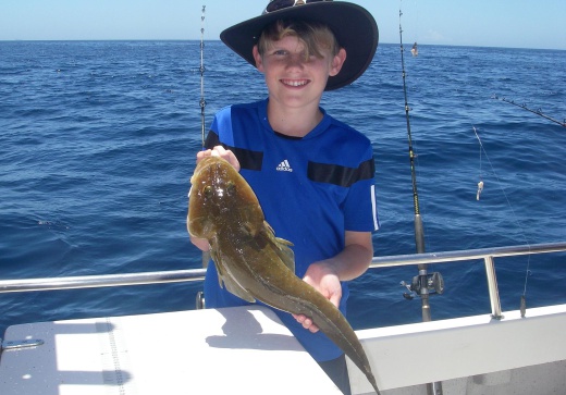 reef & game fishing charters terrigal central coast