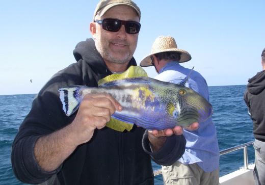 reef & game fishing charters terrigal central coast