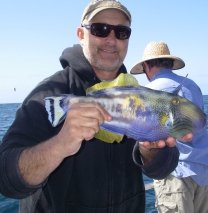 reef fishing charters